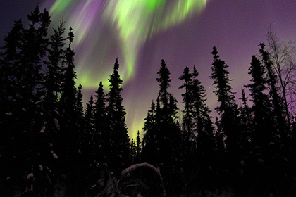 Aurora Borealis, Alaska
