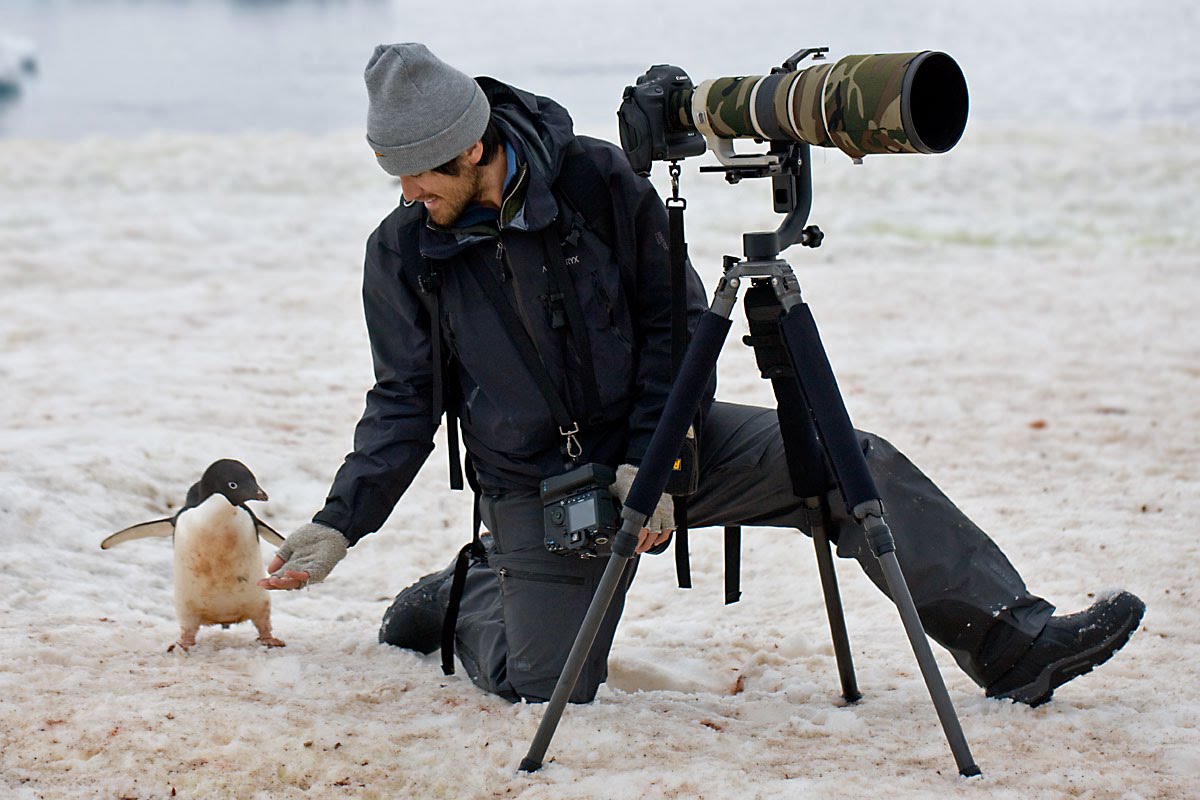 Christopher Taylor w/Adelie Penguin in Antarctica