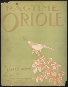 Ragtime Oriole by James Scott